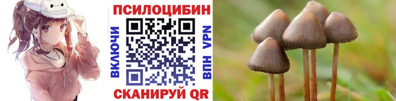 наркотики  Старая Купавна  Псилоцибиновые грибы мицелий 